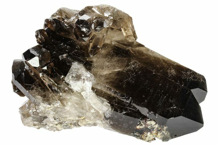 Dark Smoky Quartz Crystal Cluster - Brazil #119571